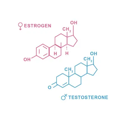 Bioidentical Hormone