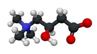 l-Carnitine