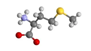 Methionine